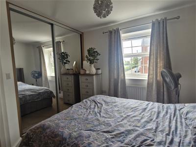 Picture 11